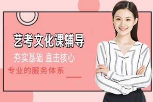 艺考文化课程辅导